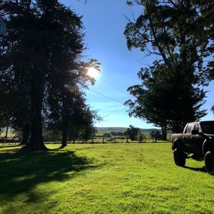 Meet your Posher, Ashlyn